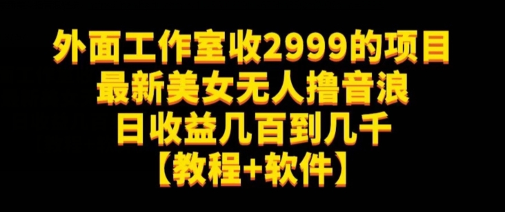 外面工作室收2999的项目最新美女无人撸音浪日收益几百到几千【教程+软件】（仅揭秘）网赚项目-副业赚钱-互联网创业-资源整合老八网赚