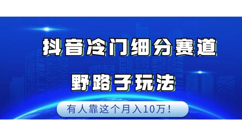 抖音冷门细分赛道野路子玩法，有人靠这个月入10万网赚项目-副业赚钱-互联网创业-资源整合老八网赚