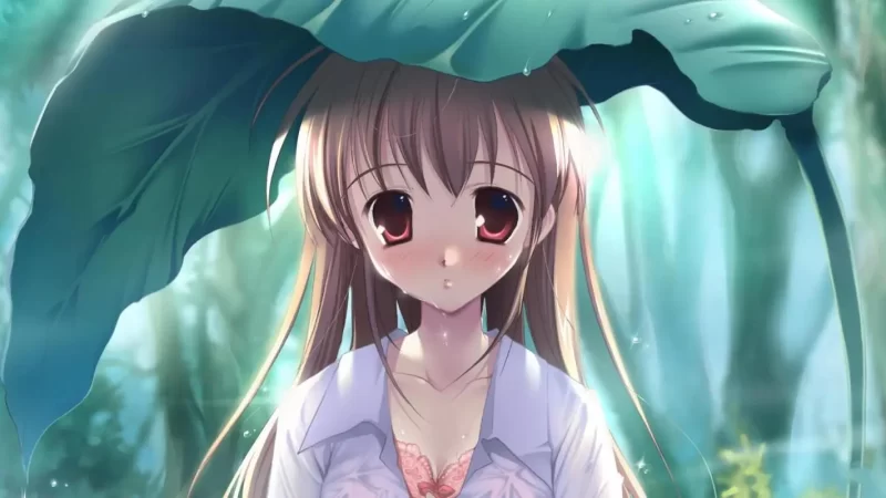 多多撸金：落地项目傻瓜式配合软件半自动日入2000+网赚项目-副业赚钱-互联网创业-资源整合老八网赚